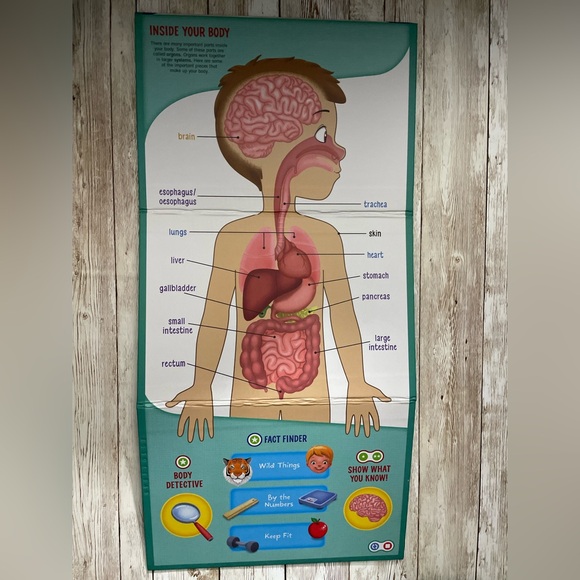 LeapFrog Tag Interactive Human Body
Discovery Pack Board - Picture 7 of 12